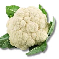 Fulcopy (Cauliflower) 1pcs