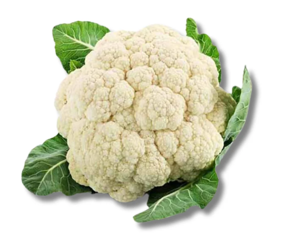 Fulcopy (Cauliflower) 1pcs