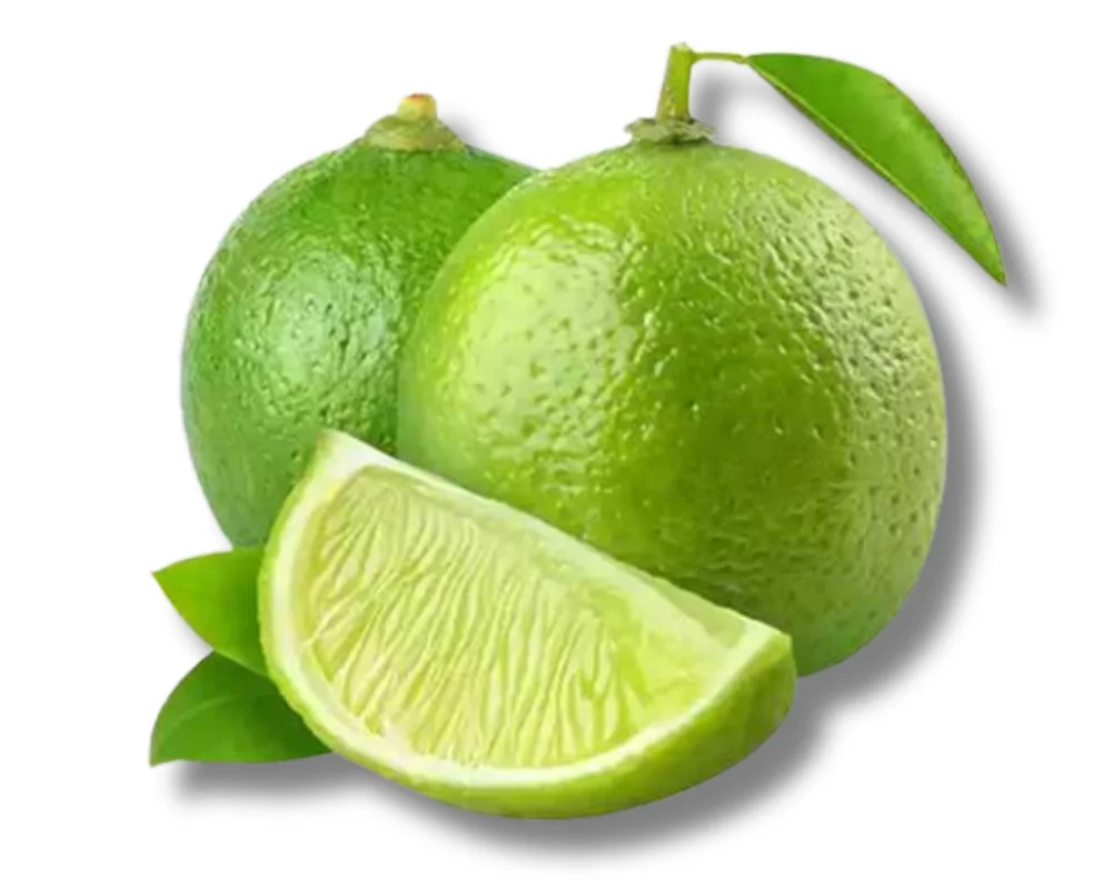 Lebu Gol (Lemon Round) 4pcs