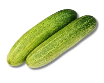 Shosha (Cucumber) 1kg