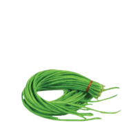 Borboti 500g (Yard Long Beans)