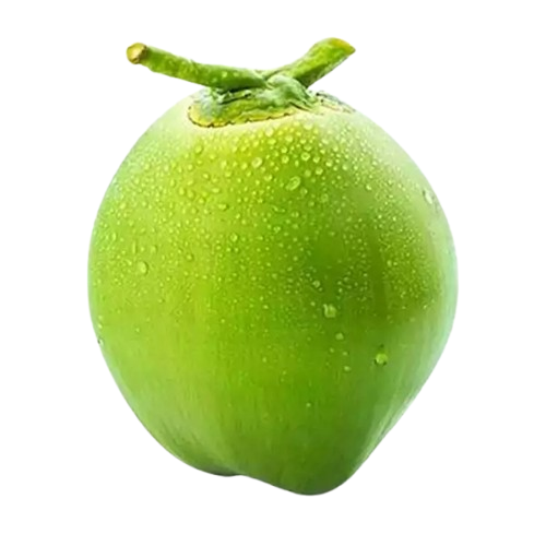 Daab (Green Coconut) 1Pcs