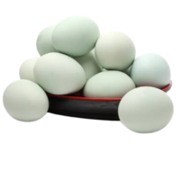 Duck Eggs 12 Pcs (Hasher Dim Dozon)