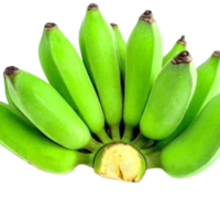 Kacha Kola 4pcs Fresh