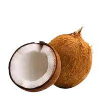 Narikel (Coconut) 1Pcs