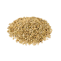 White Pepper Whole 50g ( Shada Gol Morich )